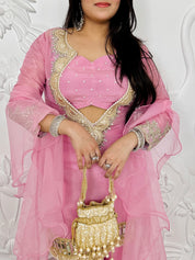 Ayesha - Blush Pink Sharara